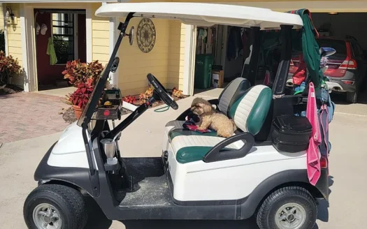 12823 NW Cinnamon Way