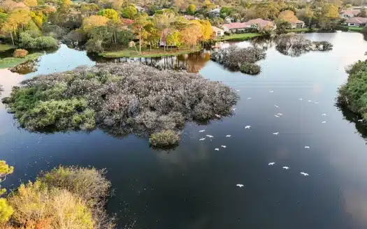 1737 NW Buttonbush Circle